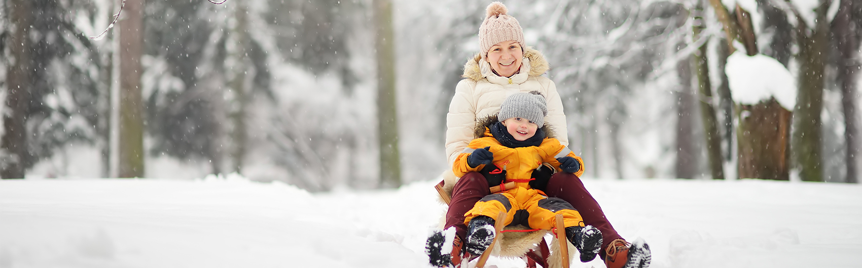 Mother sledding with toddler